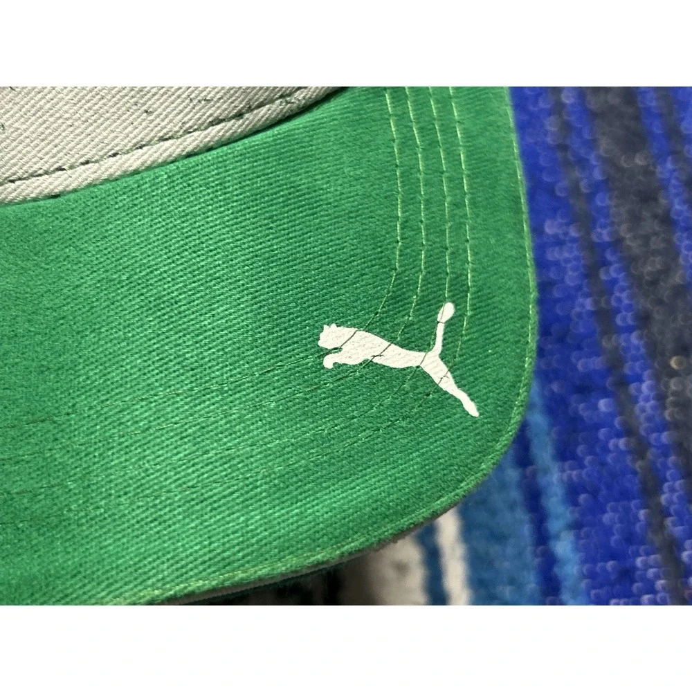 Puma se palmeiras